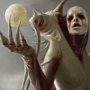 Meet your Posher, Lance